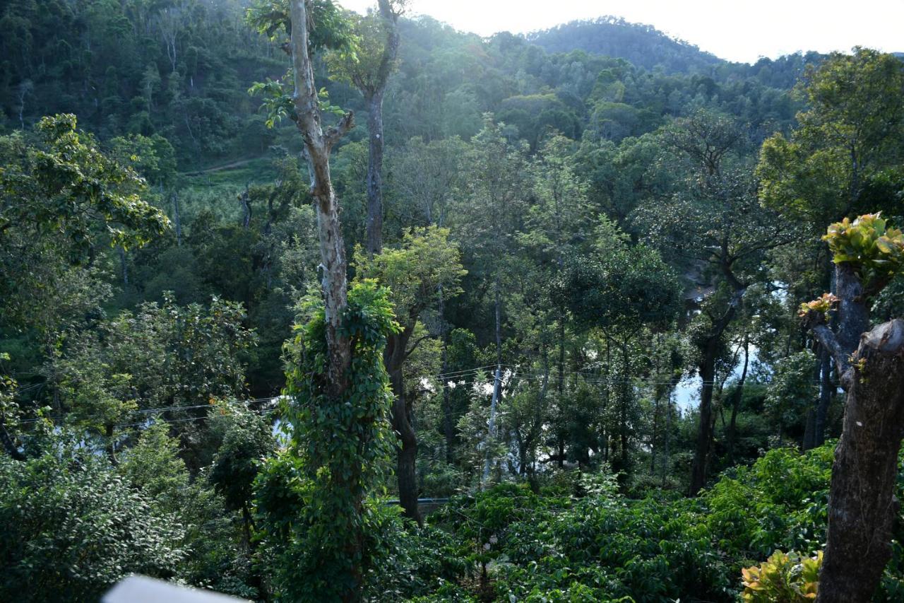 River View Guest House Madikeri Eksteriør billede